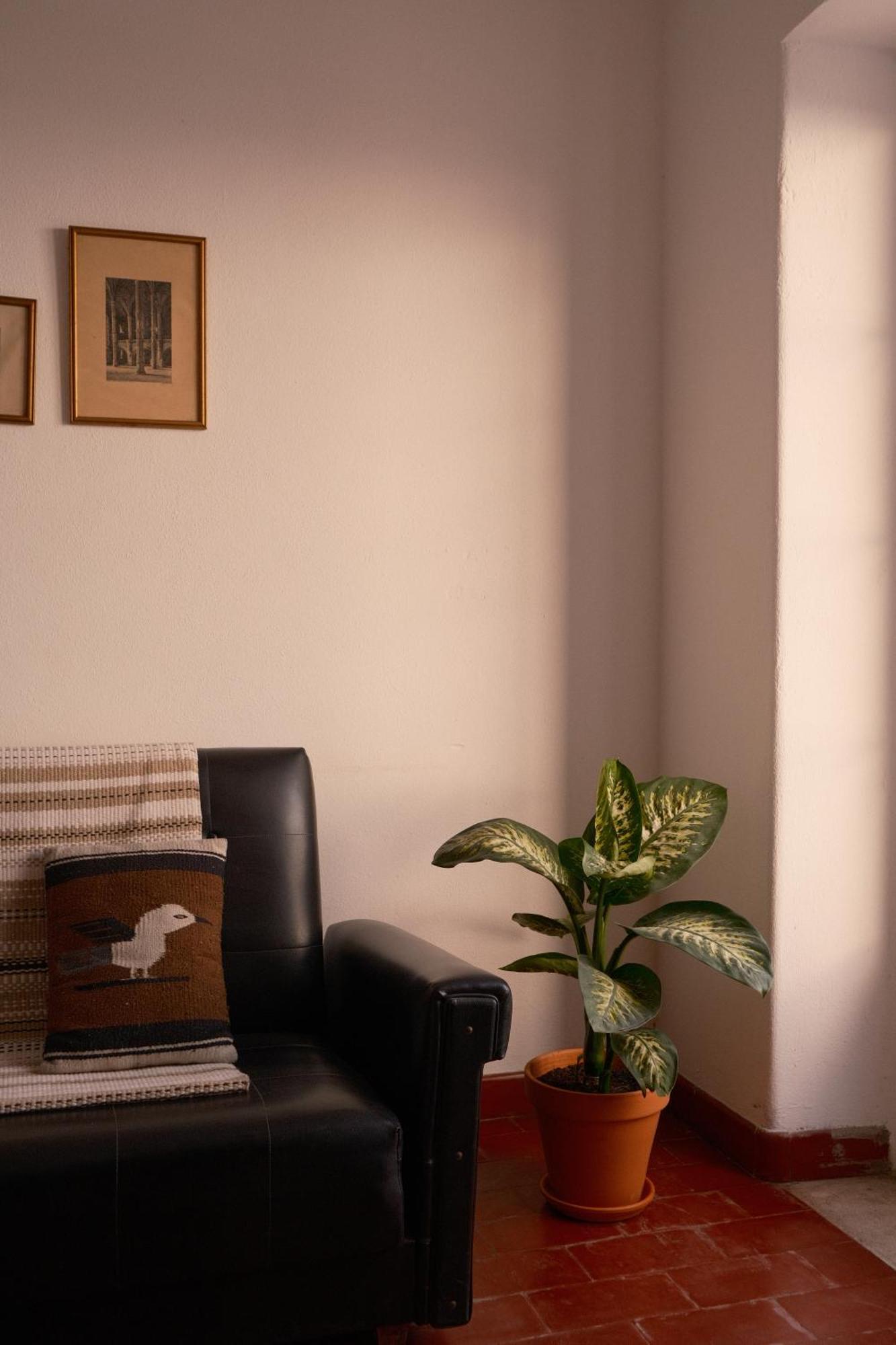 Manas Coliving Apartment Sines Luaran gambar
